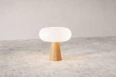 3D Product Visualization of a Cosmos Lamp